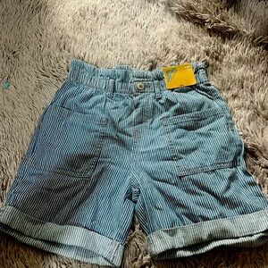 Striped Blue Kids Shorts